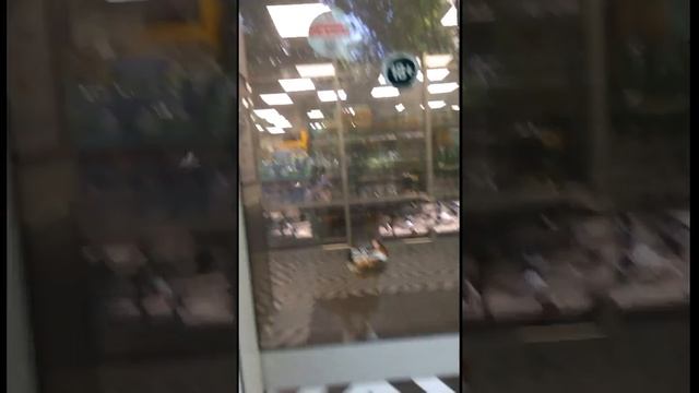 Нет воды нет света но вы держитесь смотреть онлайн