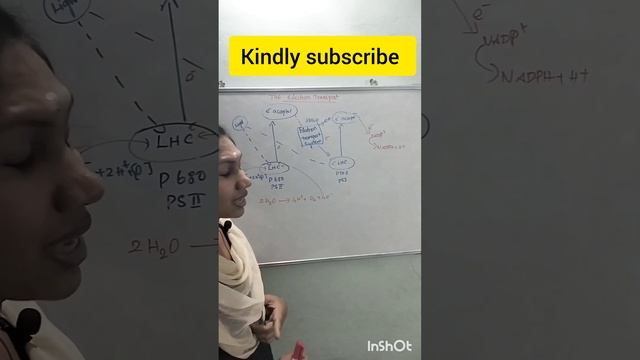 Electron transport/Photosynthesis in higher plants смотреть онлайн