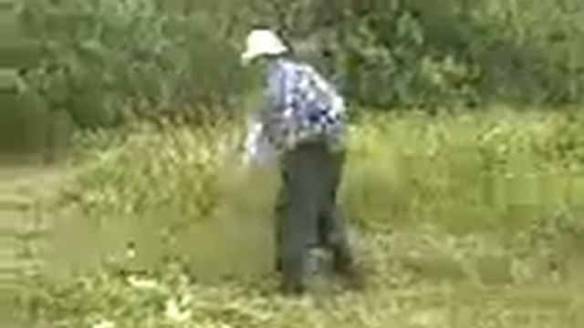 Сенокос в Байгуже