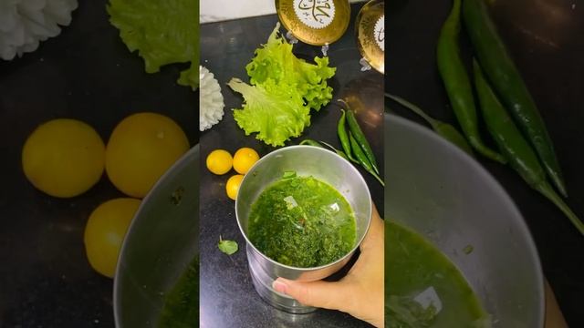 Mint Chutney Recipe || Mint Dip || Mint Sauce смотреть онлайн