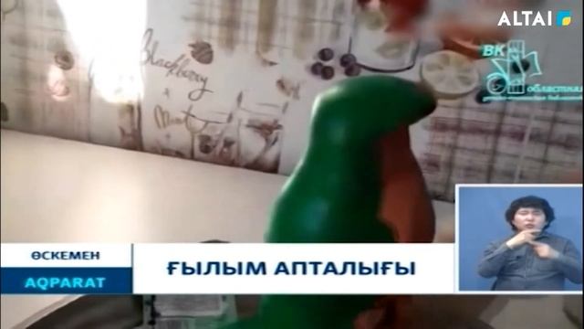 Ғылым апталығы смотреть онлайн