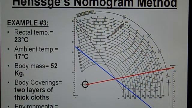 The Forensic Teacher: Henssge's Nomogram Tutorial смотреть онлайн
