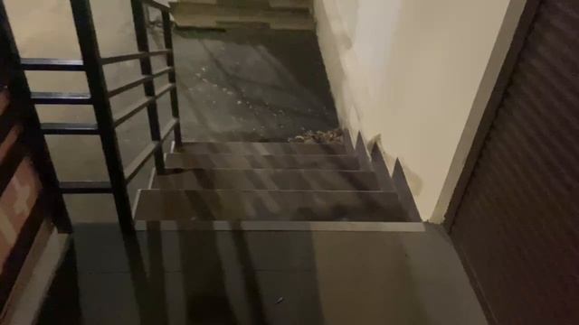 Плеханова, 43 обзор смотреть онлайн