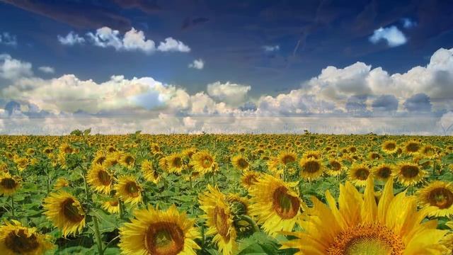 Украина смотреть онлайн