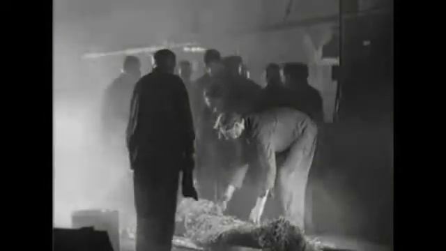 Юность Максима. 1934год