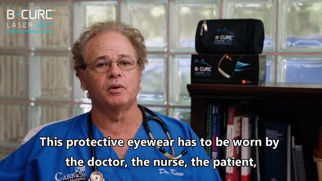 B-Cure Laser Vet: Dr. Kane explains about Low Level Laser Therapy (LLLT) for pets смотреть онлайн