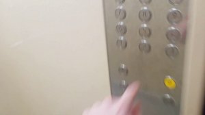 Лифты МЛМ Невский лифт 2023 г.в.