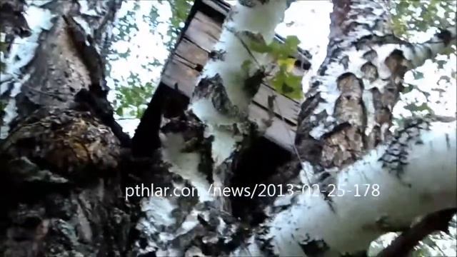Безхозный рой смотреть онлайн