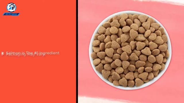 Top 5 Best Cat Food for Indoor Cats in 2020 смотреть онлайн