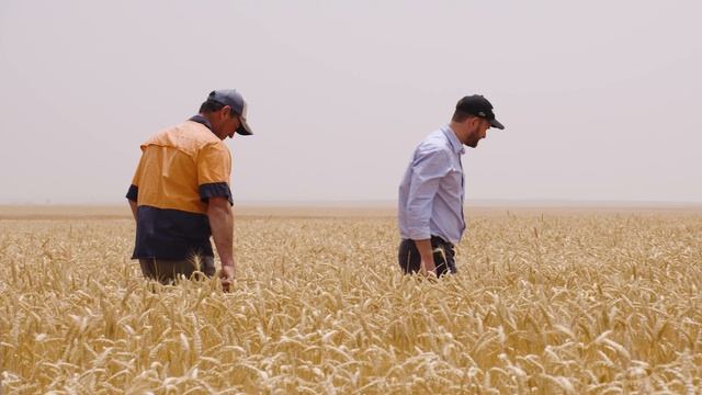 Sakura Flow Herbicide - 30 Sec смотреть онлайн