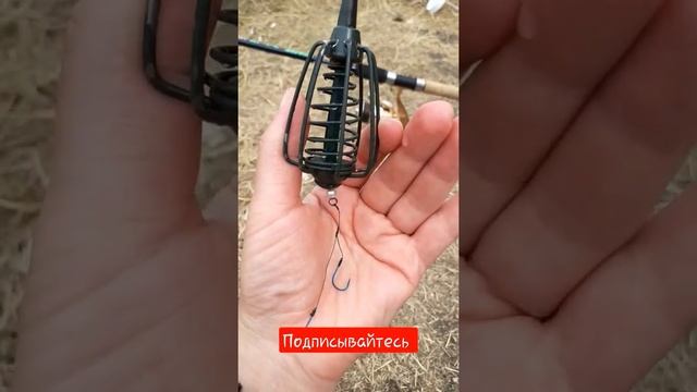 тестируем новые удочки и снасти. что делать, чтобы всегда был УЛОВ. РЫБАЛКА смотреть онлайн