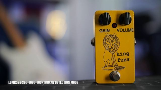 Panasonic LUMIX S9: Better Autofocus Than S5II & S5IIX