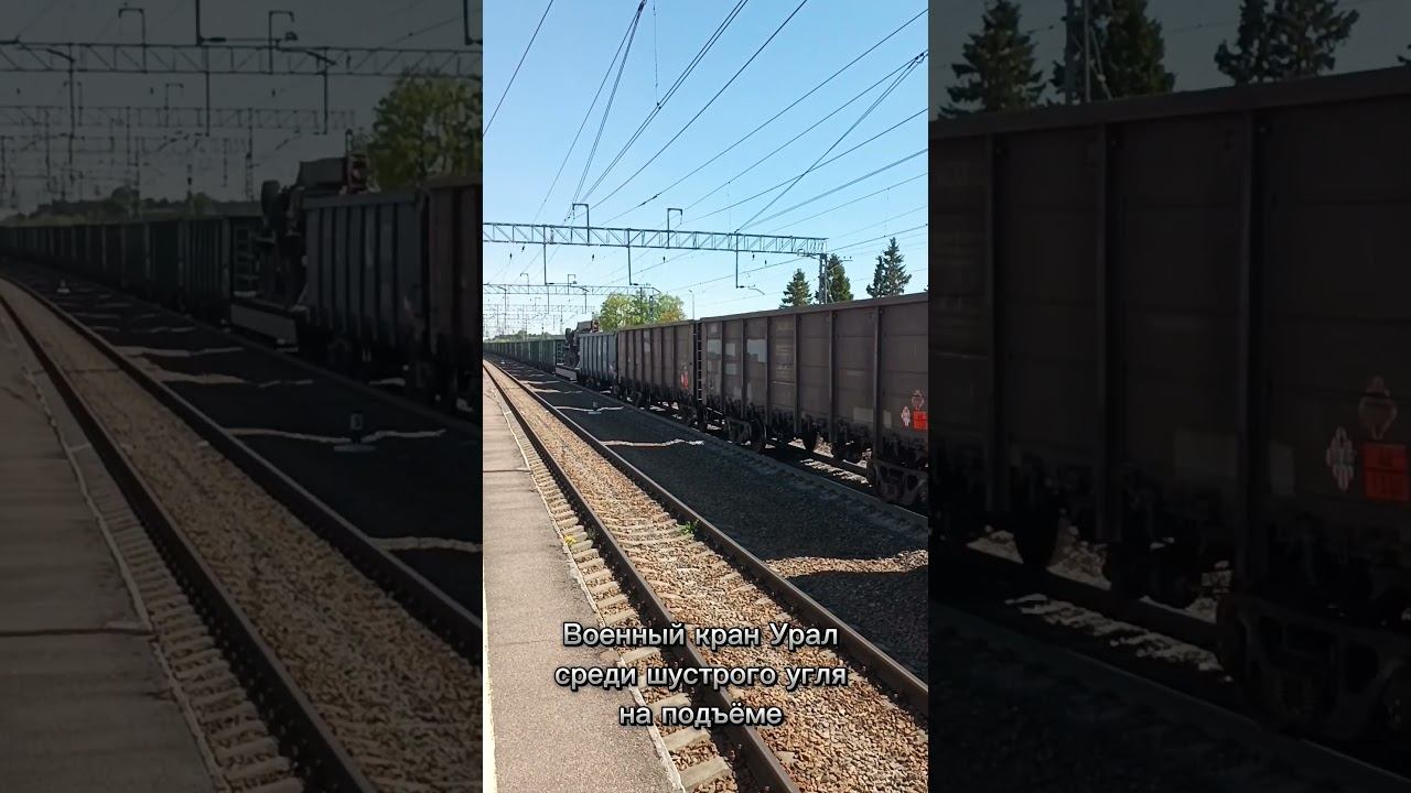 Нежданные гости №2 смотреть онлайн