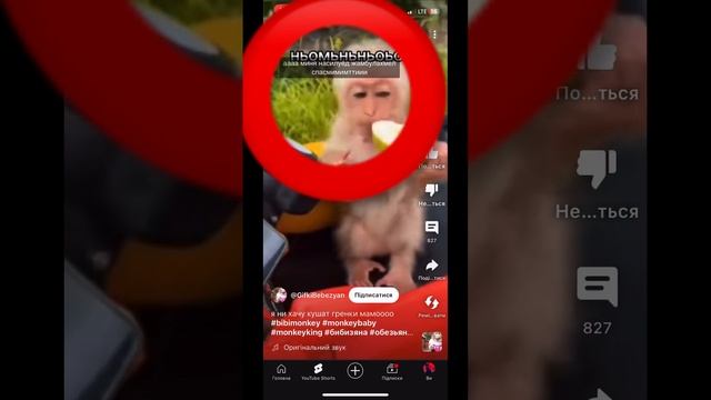 Я просто смотрела видео а переводчик заделал перевод 🤣 смотреть онлайн