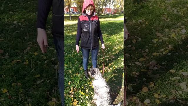 Упражнение "Дзен" смотреть онлайн