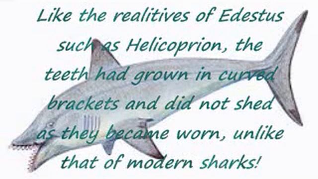 Edestus shark смотреть онлайн