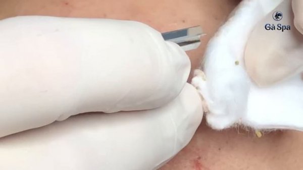 SIGNATURE SERVICE - PART 3