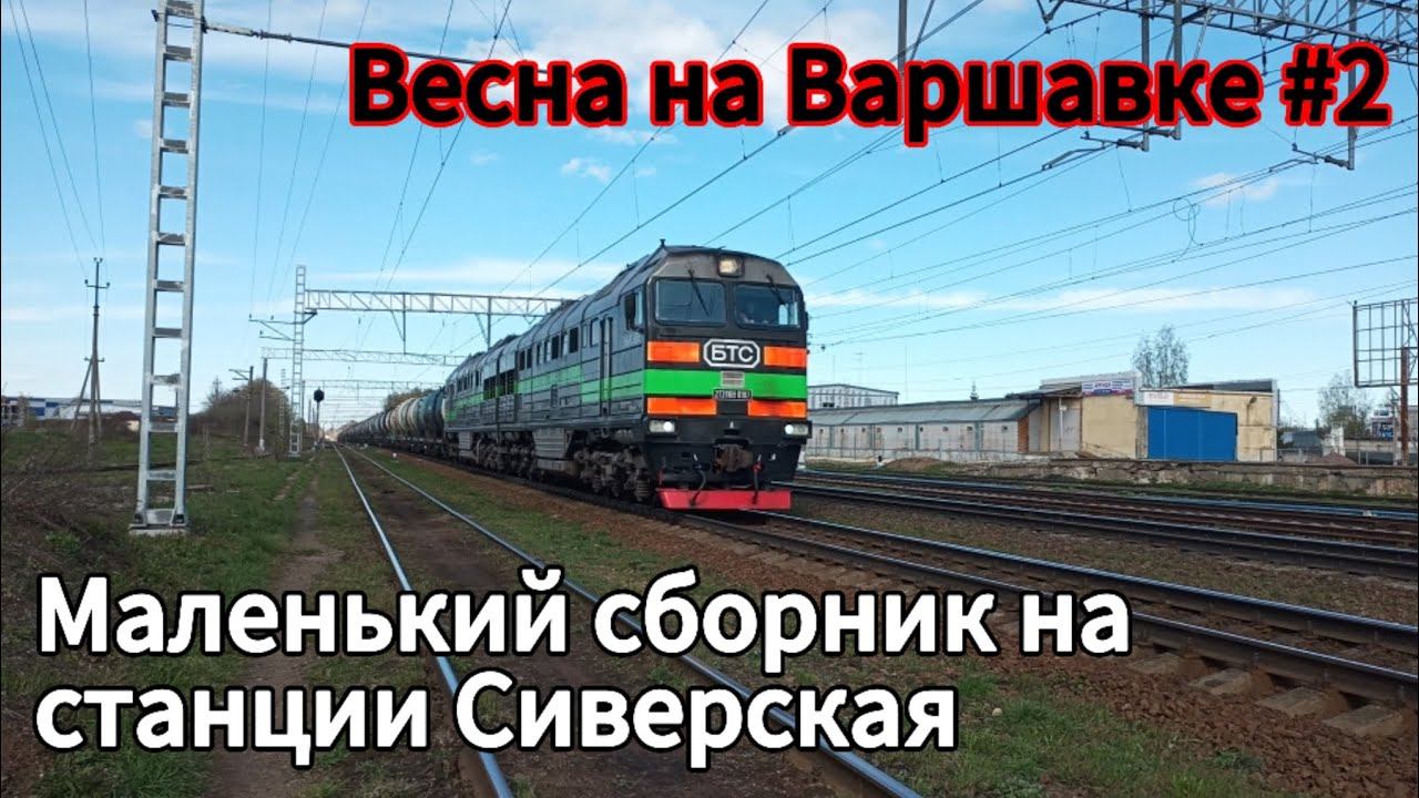 Станция Сиверская: Майский минимикс грузовых поездов смотреть онлайн