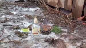 Охота на ВОРОБЬЕВ с газовым пистолетом  и воздушкой ИЖ38. Стреляем по мишеням с пневматики xatsan12