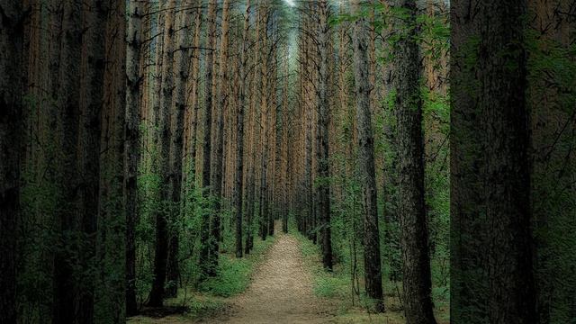 всё это твоя реальность смотреть онлайн