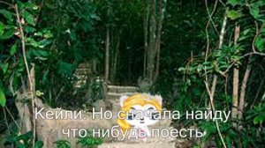 забытый остров (II серия)