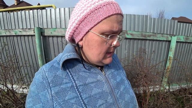 Почему сохнут ветки на жимолости? Это щитовка. Способ борьбы смотреть онлайн