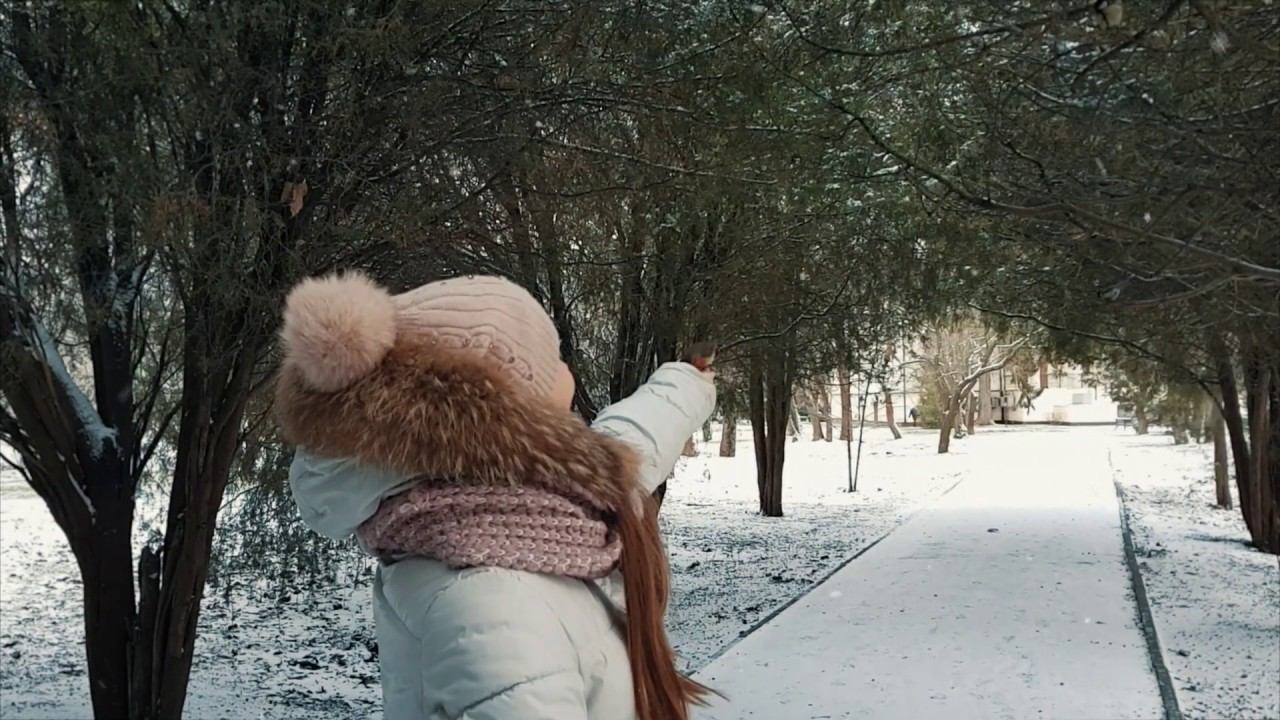 Симферополь,  Парк КФУ. Зарянка ест с руки