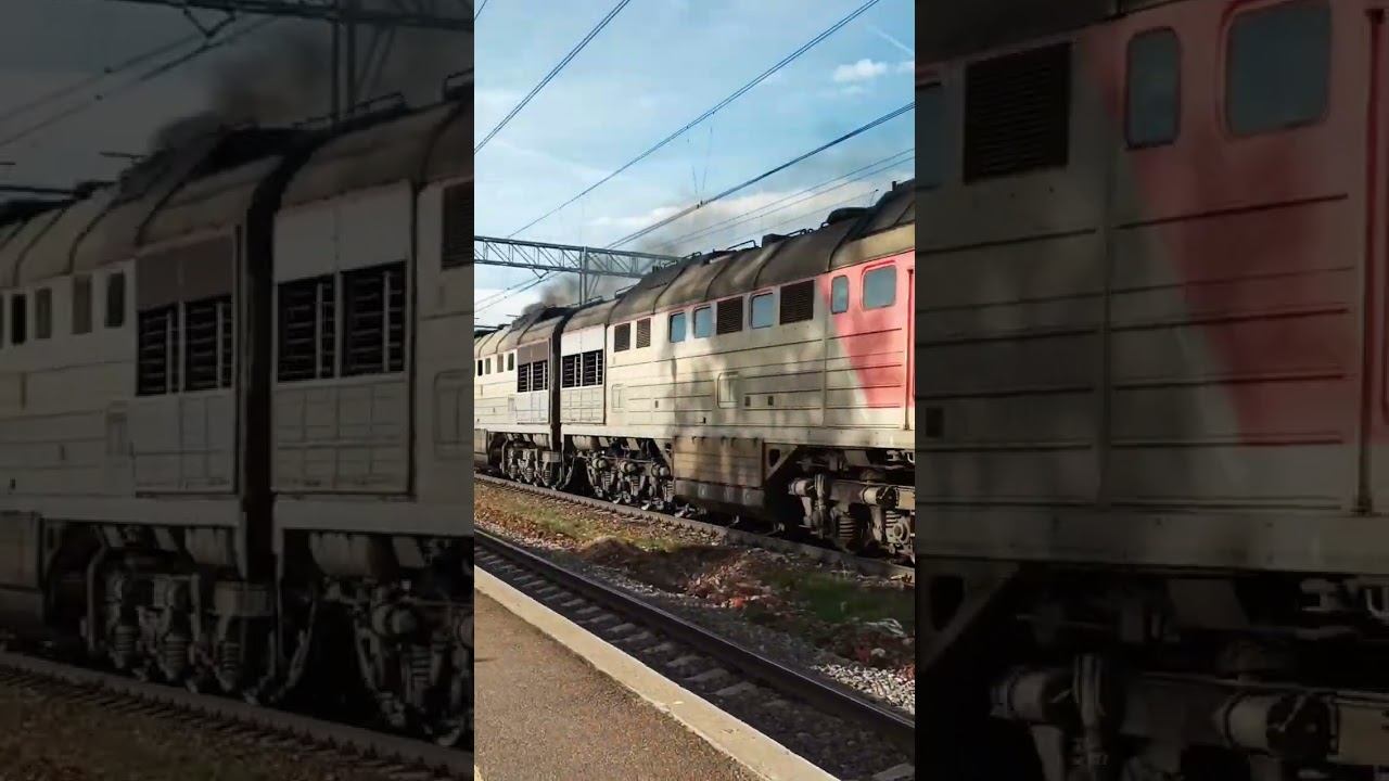 Контейнерный музыкант смотреть онлайн