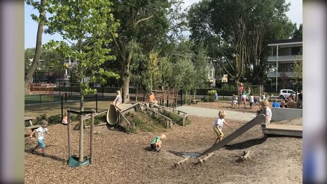 Физкультура против ментальной арифметики. Как выбрать? смотреть онлайн