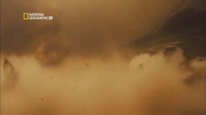 National Geographic  Самые опасные животные мира   Амазония