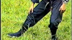 Ниндзюцу / Будзикан Нин-По. Контратака - Энергия волны.