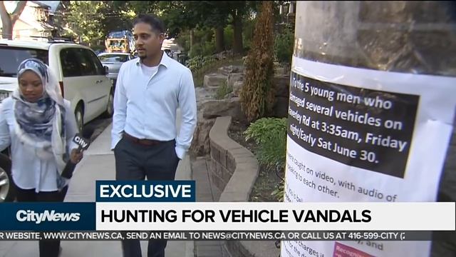 Man trying to catch neighbourhood vandals смотреть онлайн