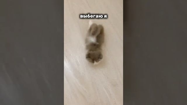 это про меня в среду💙 смотреть онлайн