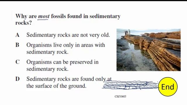 6th Grade Science Test Prep Day 3 смотреть онлайн