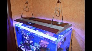 Как сделать светодиодный светильник для аквариума своими руками. DIY LED Aquarium Light