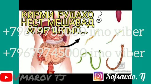 РОХИ ХАЛИ КИРМИ МЕДА ва ЧиГаР АСКАРИДА ЛЯМБЛЯ ва любой хели гижа смотреть онлайн