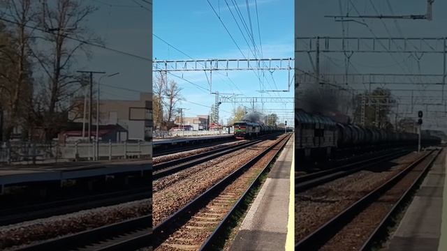 БТС БТСович №4 смотреть онлайн