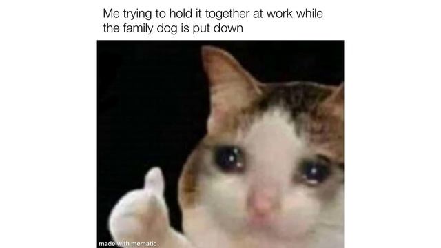 Daily Juicy Memes 1780 смотреть онлайн