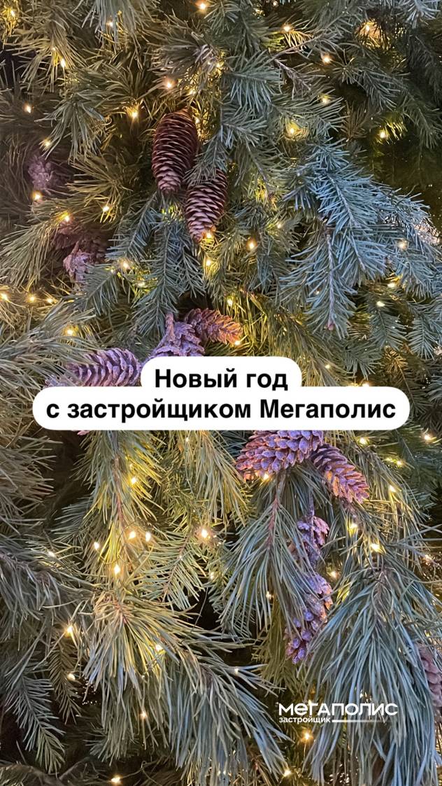 Новый год в новой квартире вместе с Застройщиком Мегаполис | Ленина, 58 смотреть онлайн