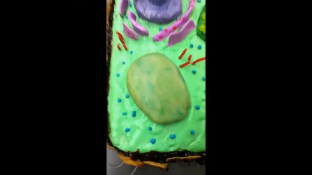 Incredible Edible Plant Cell Model смотреть онлайн