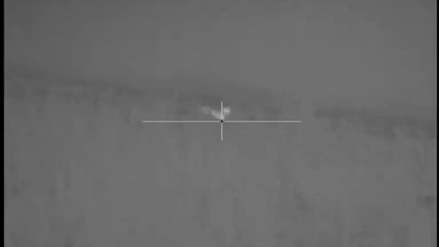 Fox Shooting with the Pulsar XD75 Thermal image sight . смотреть онлайн