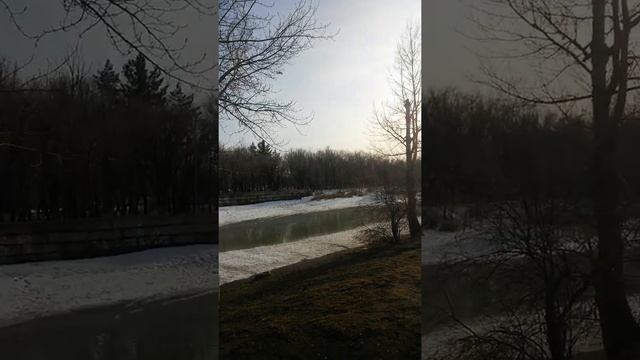 Тут брусчатка даже высохла, а малом озере парка волны пошли - что-то произошло под водой 4 апреля смотреть онлайн
