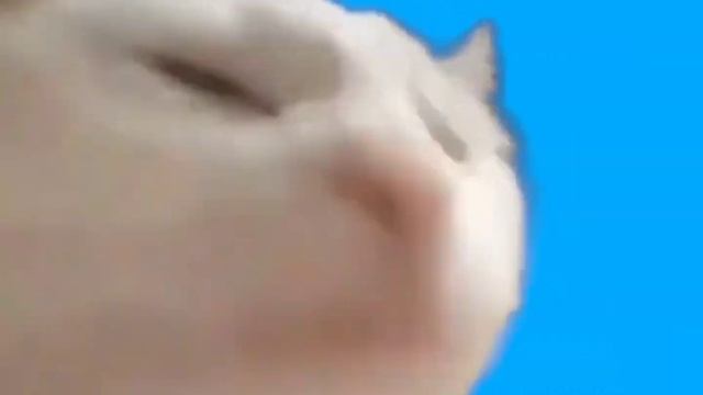 Holy Baam и Оля Кекс - Песня про битбокс (спид версия) смотреть онлайн