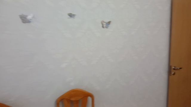 Document_5391163745894424673
