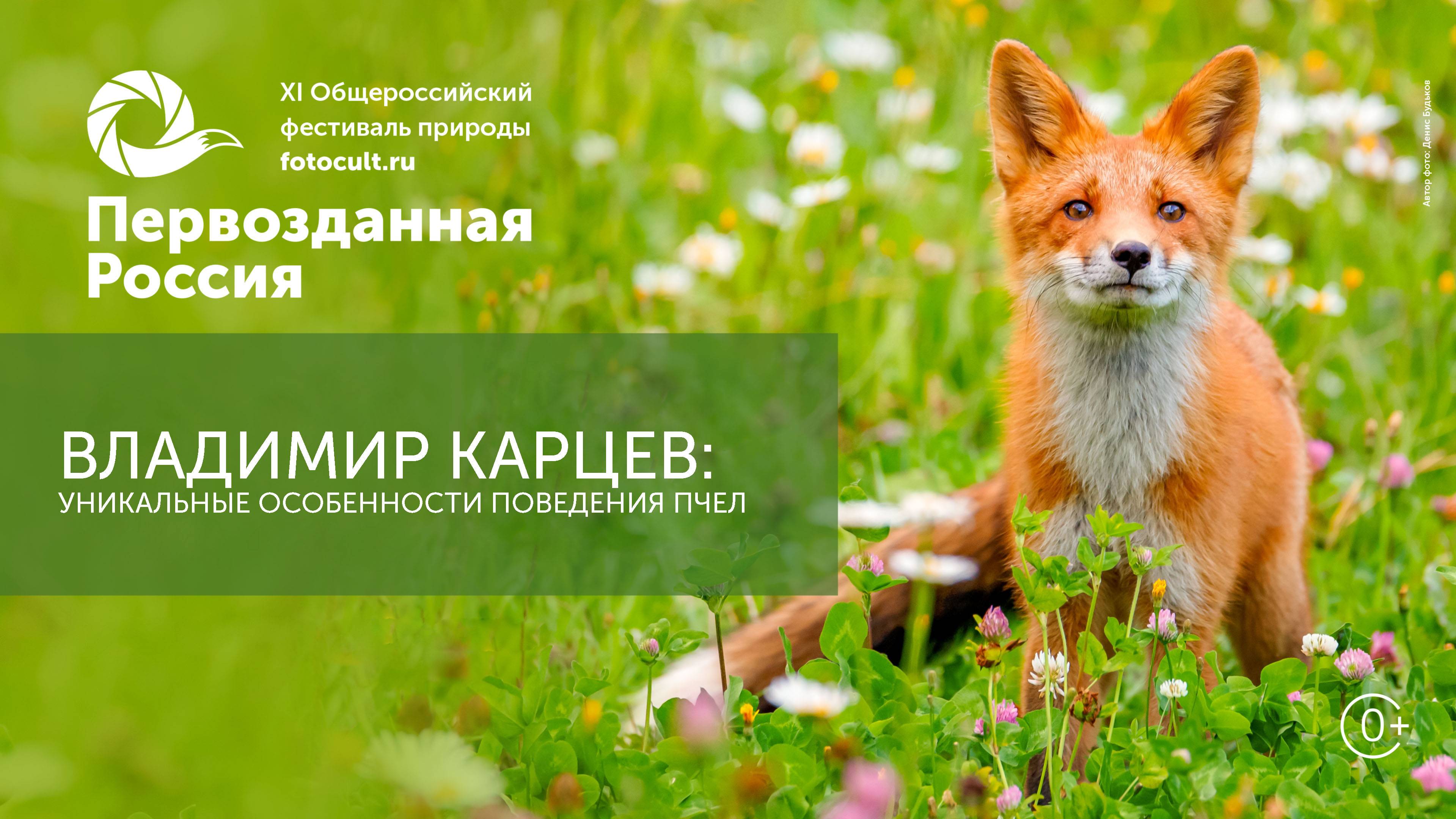 Владимир Карцев: Уникальные особенности поведения пчел