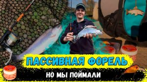 Ловля ПАССИВНОЙ ФОРЕЛИ на спиннинг | Нюансы в снастях и проводке | Поклёвки на камеру!