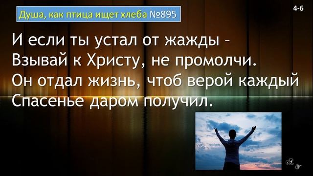 895 Душа, как птица, ищет хлеба смотреть онлайн