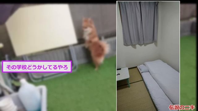 【2ch面白いスレ】地方のビジホに出張で来たんやが驚愕してるw