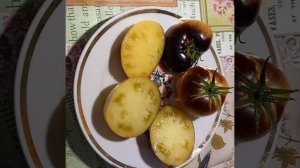 Томат ВЕЛИКОЛЕПНЫЙ БЕЛЫЙ +П20. Коллекционный сорт. Ярославская обл.