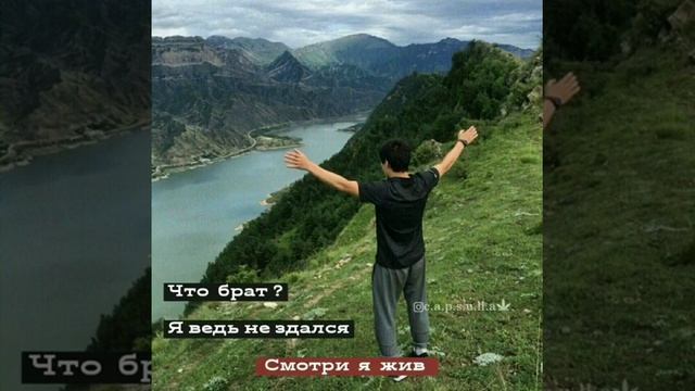 умная фраза смотреть онлайн